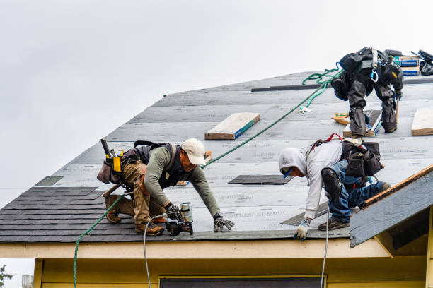 Professional Gutter Installation technician working in Troy, TX